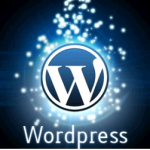 WordPress Template